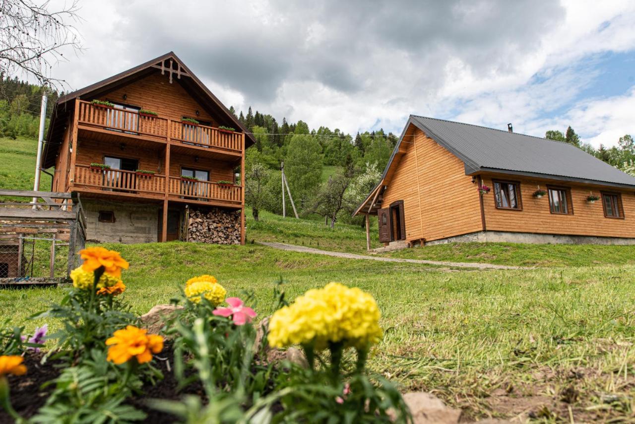 Villa Grace Орявчик Экстерьер фото