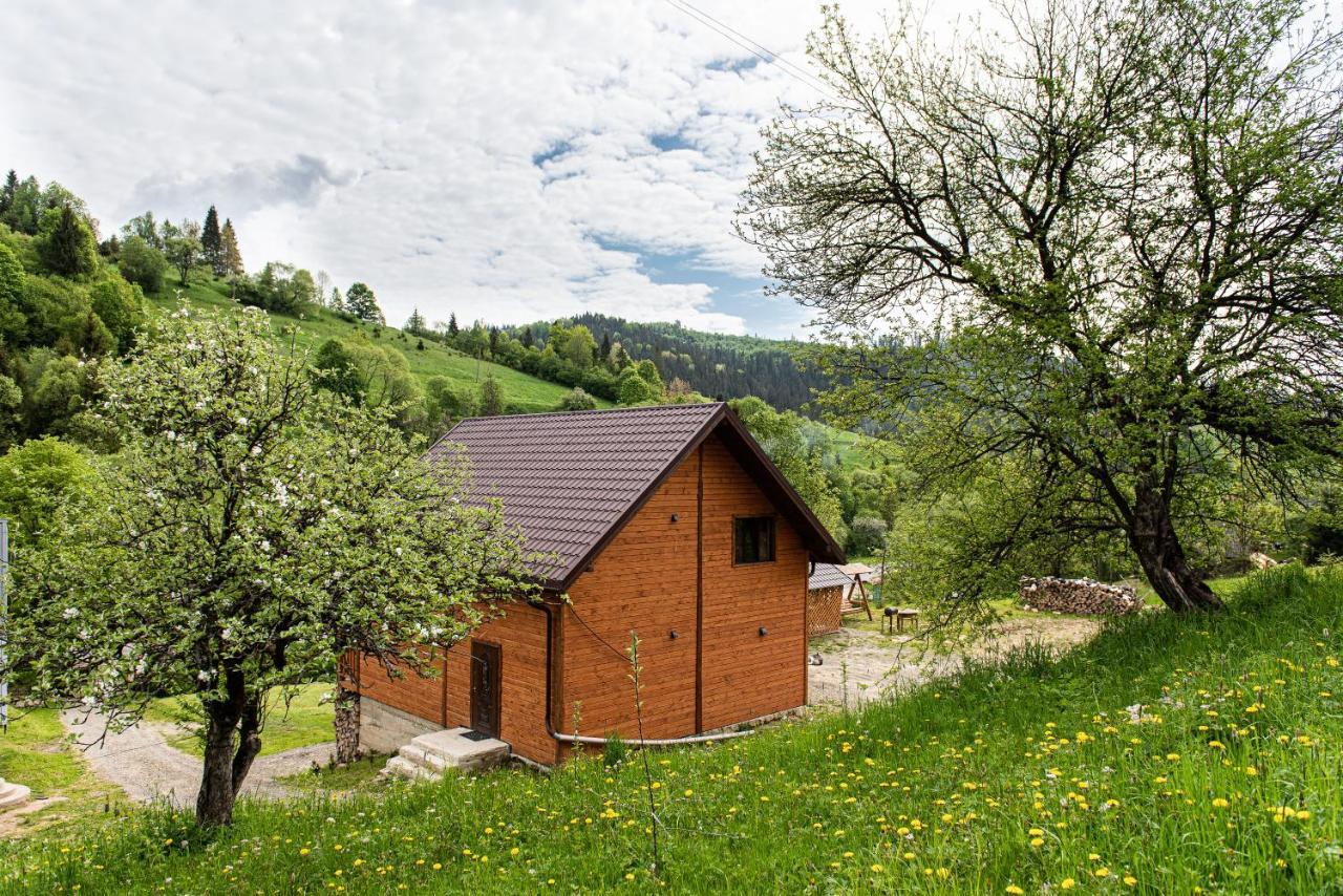 Villa Grace Орявчик Экстерьер фото